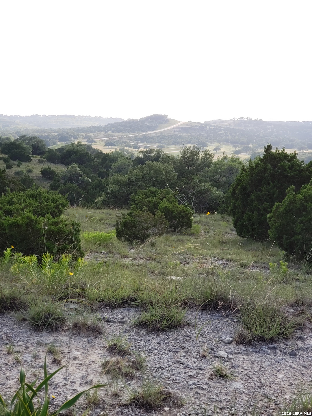 Lot 16 N Scenic Hills Court Blanco TX 78606