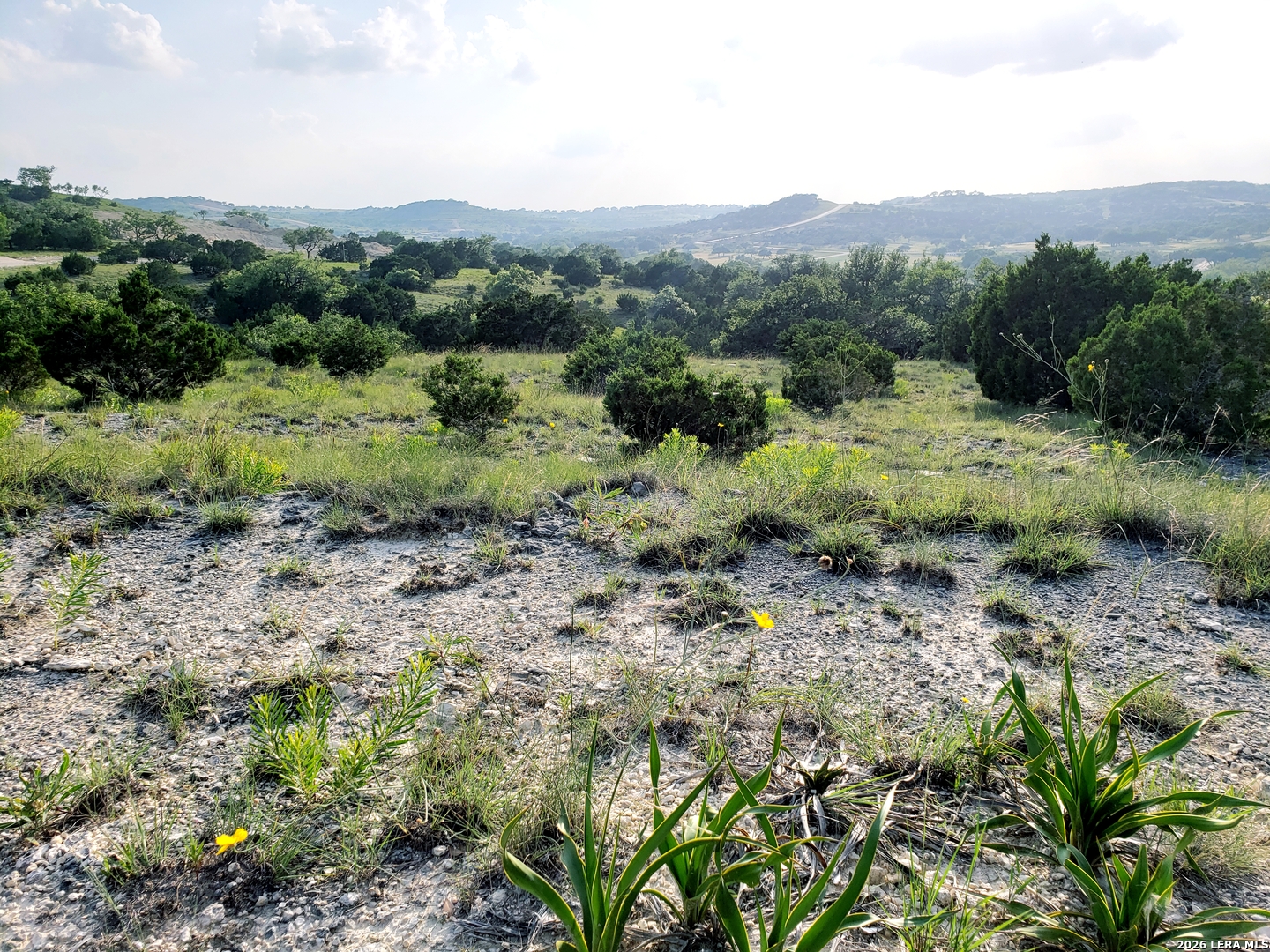 Lot 16 N Scenic Hills Court Blanco TX 78606
