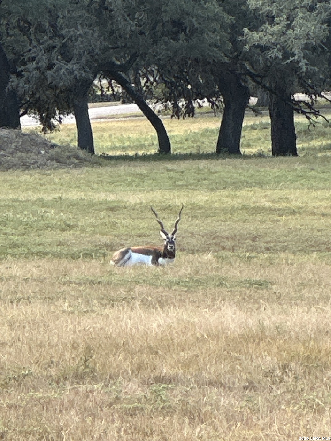 Lot 16 N Scenic Hills Court Blanco TX 78606