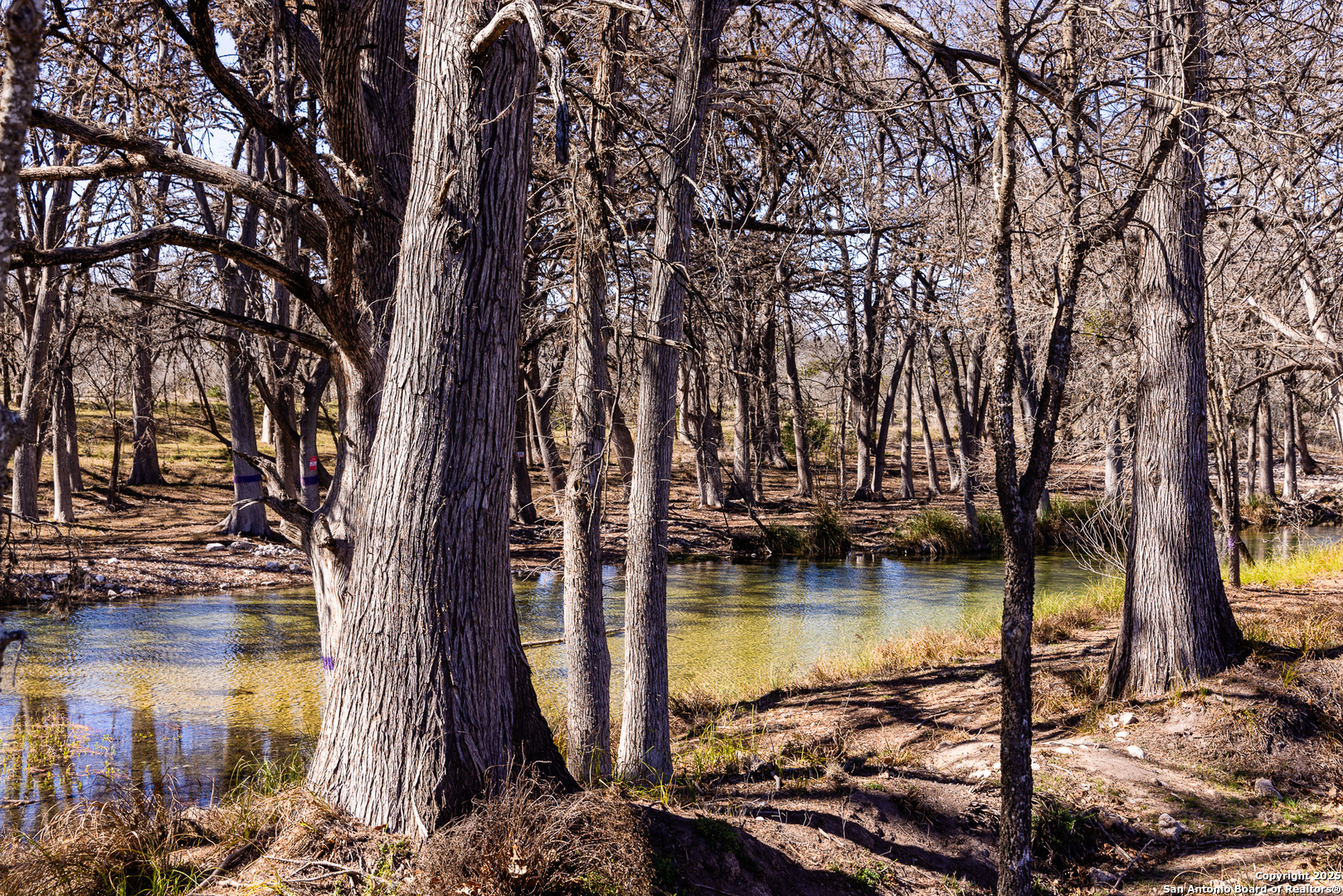 2800 Little Dry Frio Road Rio Frio TX 78879
