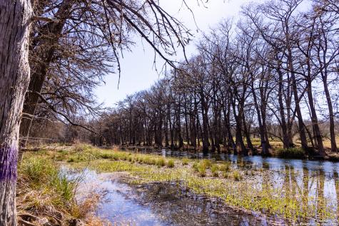 2800 Little Dry Frio Road Rio Frio TX 78879