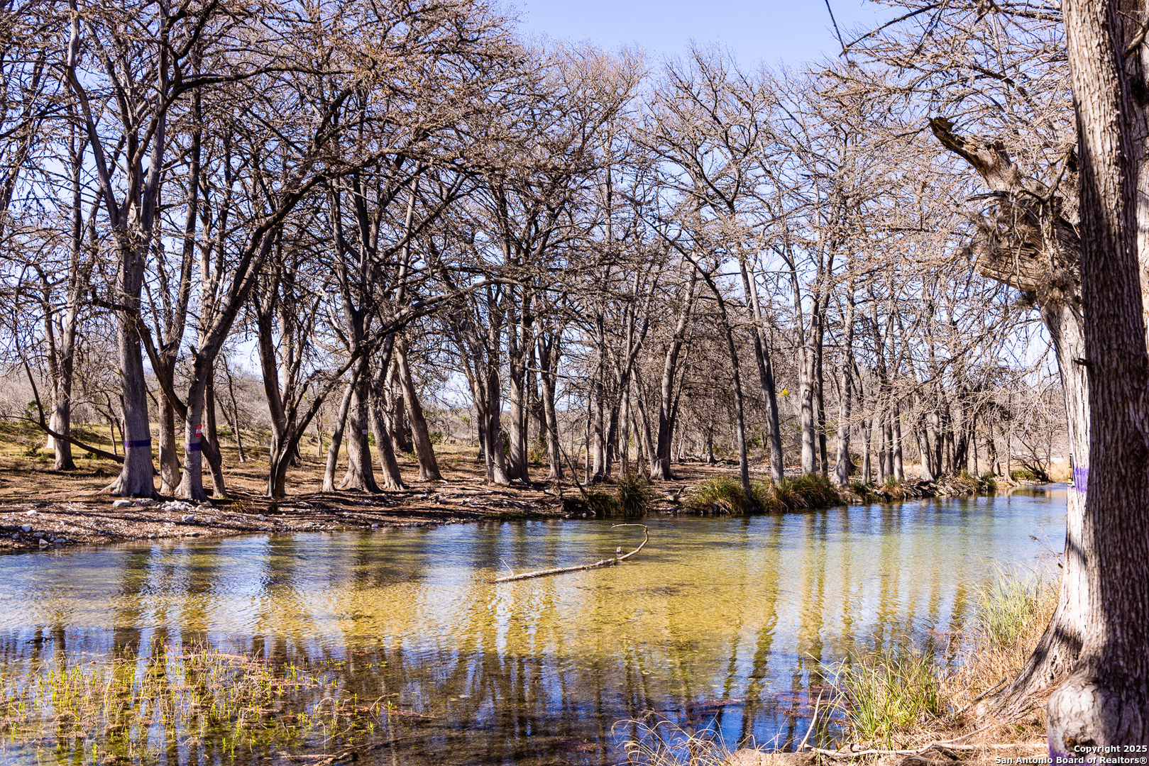 2800 Little Dry Frio Road Rio Frio TX 78879
