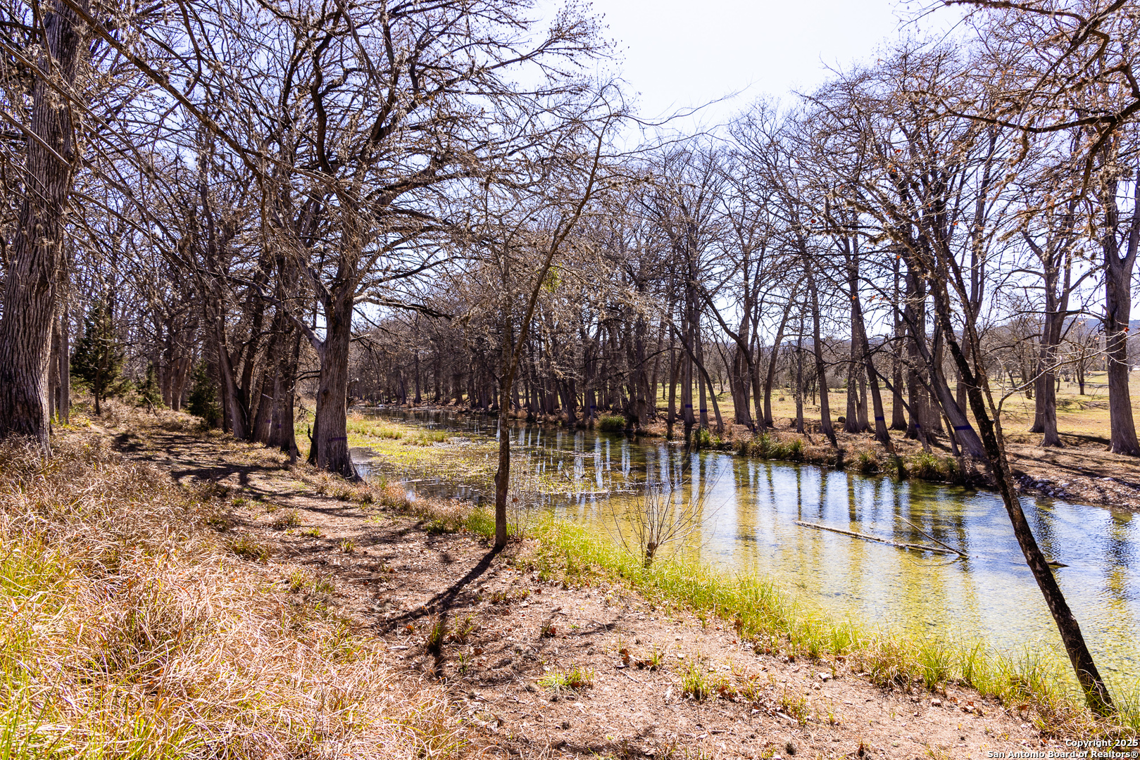 2800 Little Dry Frio Road Rio Frio TX 78879