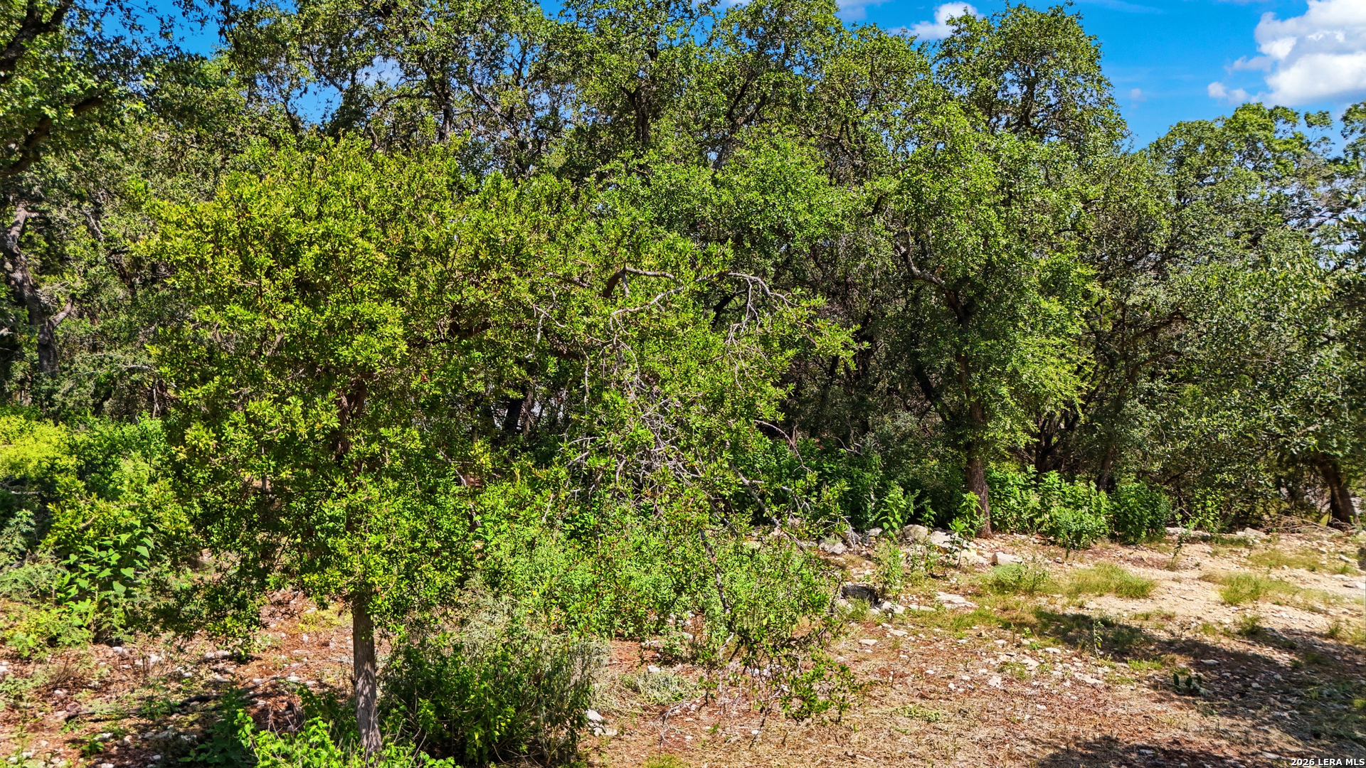 1824 Trail Ridge Drive Canyon Lake TX 78133