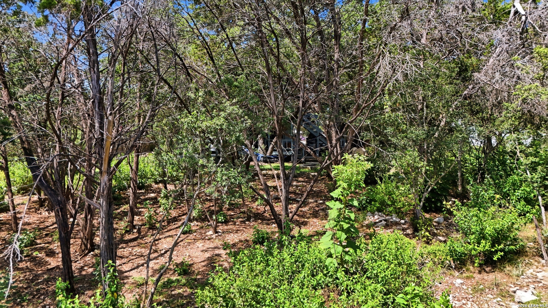 1824 Trail Ridge Drive Canyon Lake TX 78133
