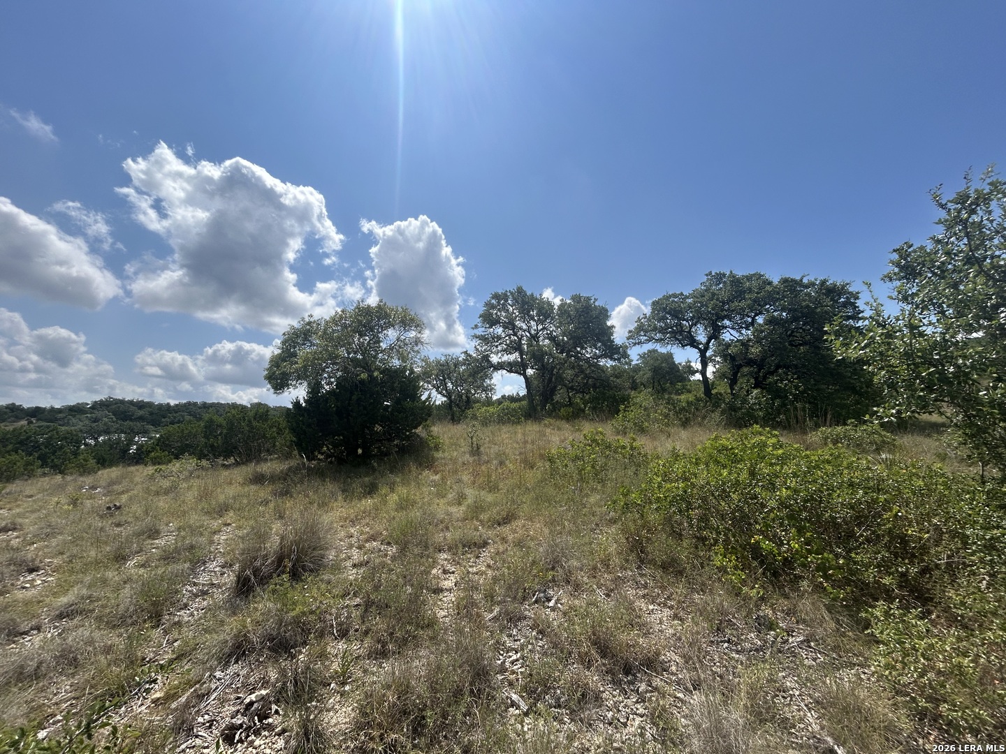 23702 Oakshire Ridge San Antonio TX 78255
