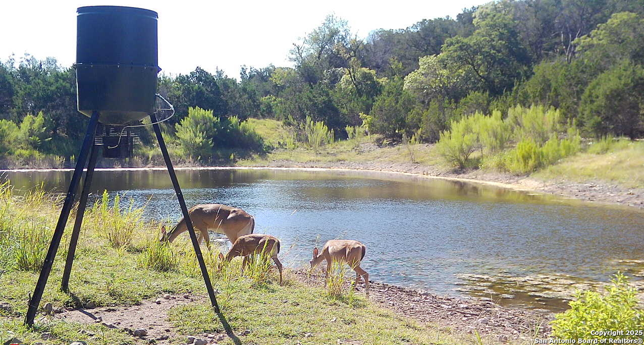 230 Marshall Drive Kerrville TX 78028