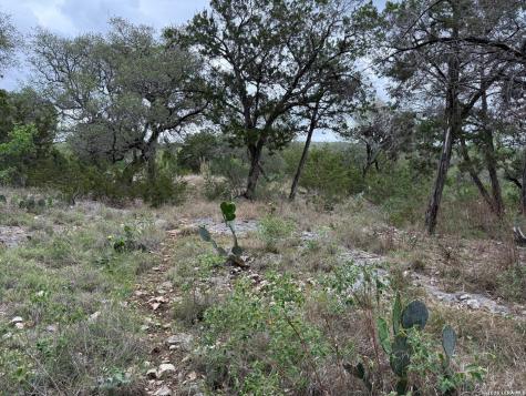 1113 Keystone Canyon Lake TX 78133
