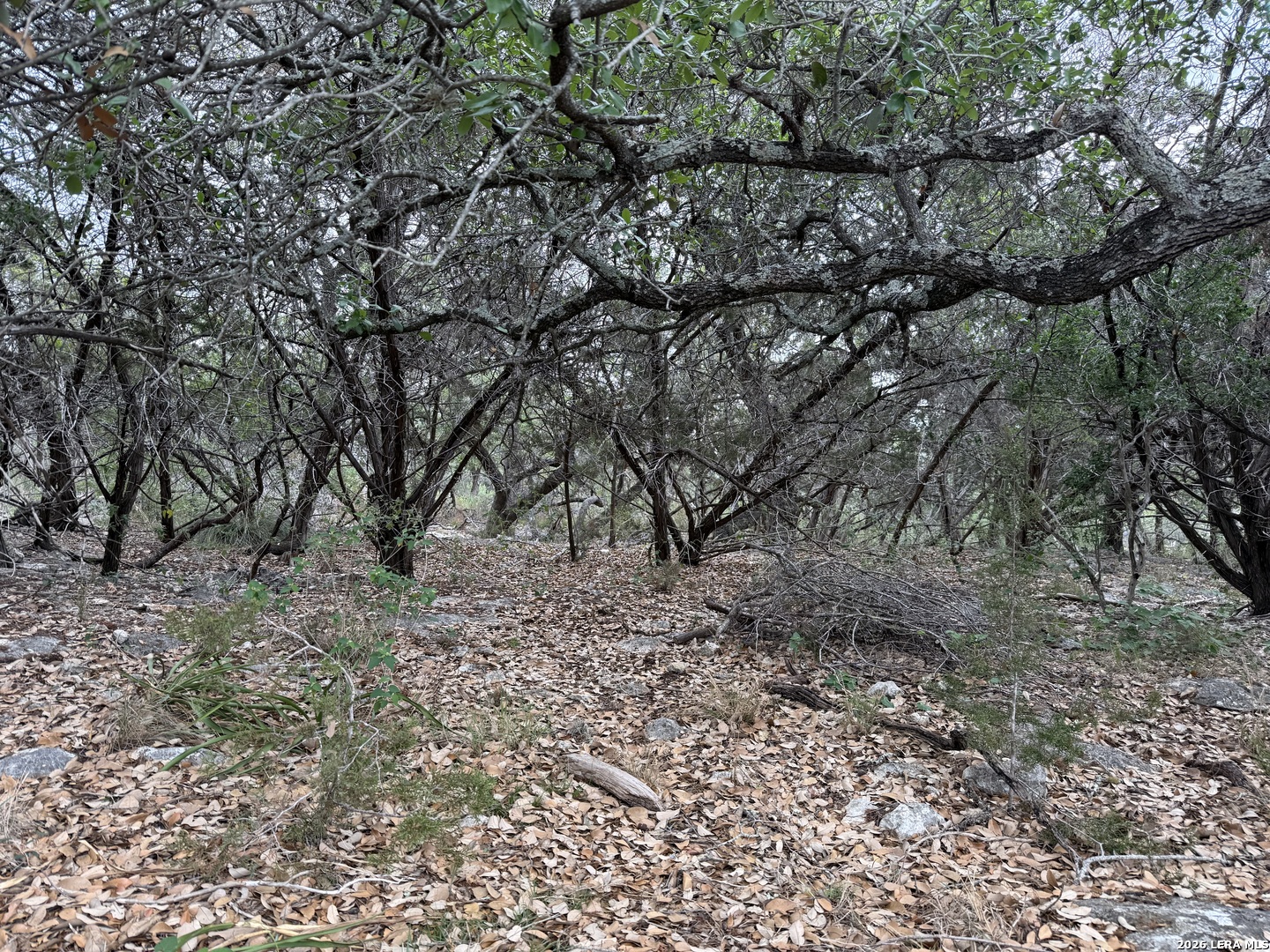 1113 Keystone Canyon Lake TX 78133