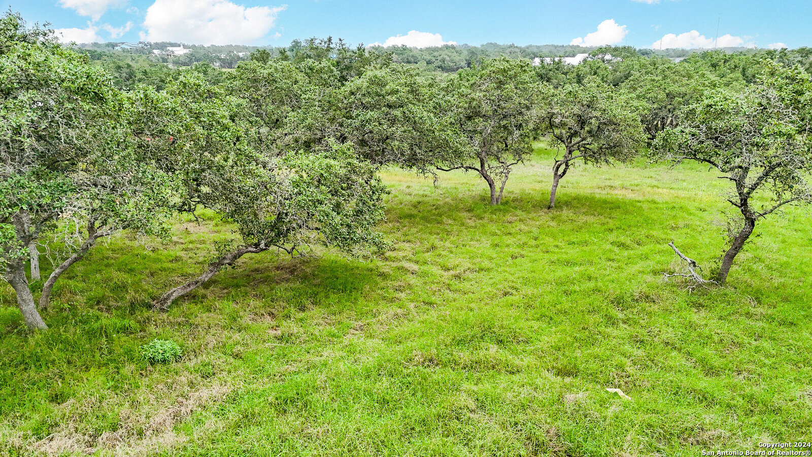 677 Annabelle Avenue Bulverde TX 78163