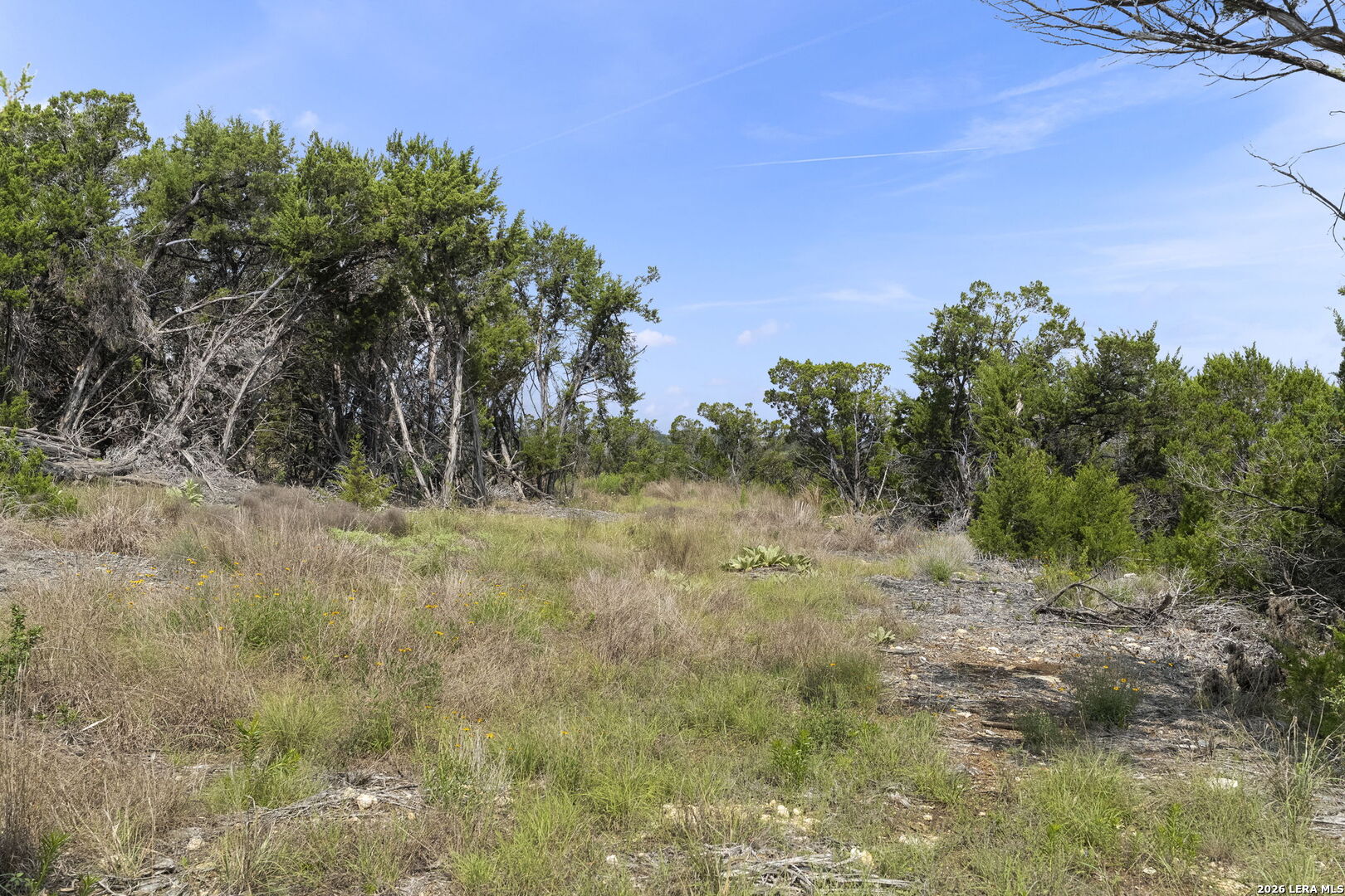 341 Mitchell Drive Spring Branch TX 78070