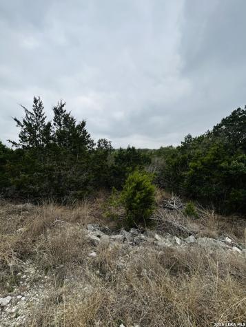 Cr 2763 Lot 439 Bear Spring Ranch Mico TX 78056