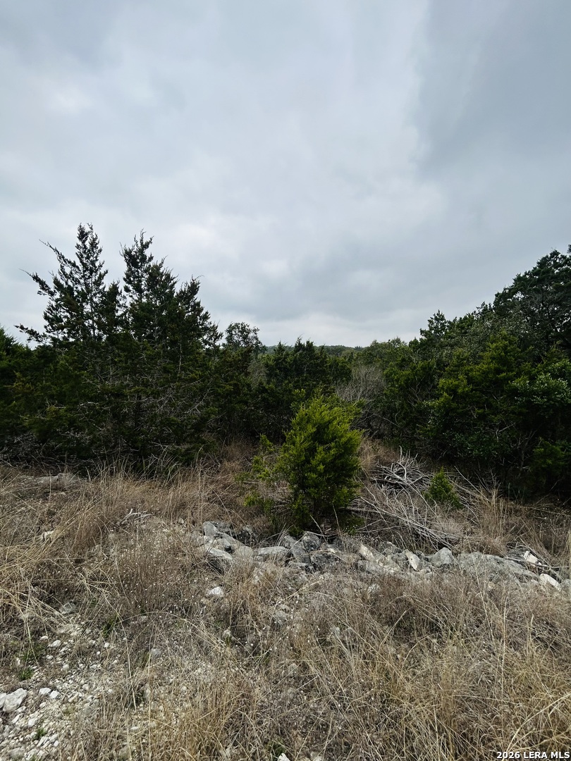 Cr 2763 Lot 439 Bear Spring Ranch Mico TX 78056