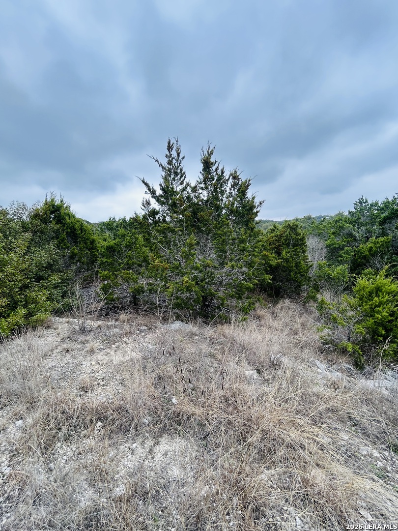 Cr 2763 Lot 439 Bear Spring Ranch Mico TX 78056