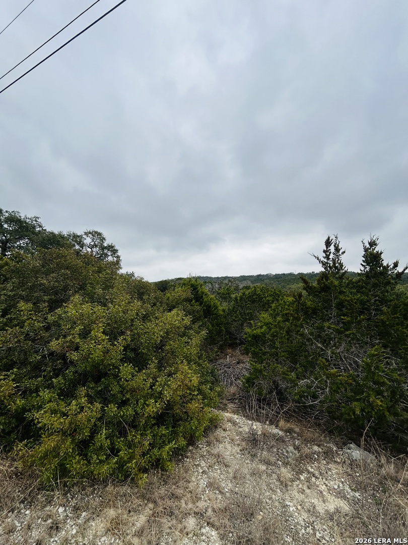 Cr 2763 Lot 439 Bear Spring Ranch Mico TX 78056