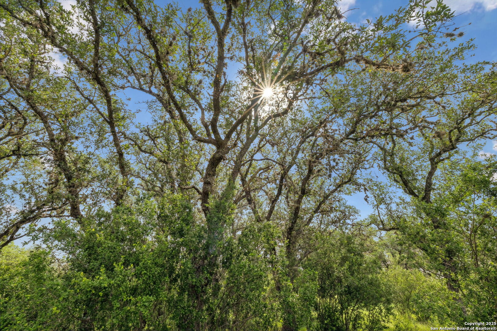 257 Augusta Boerne TX 78006