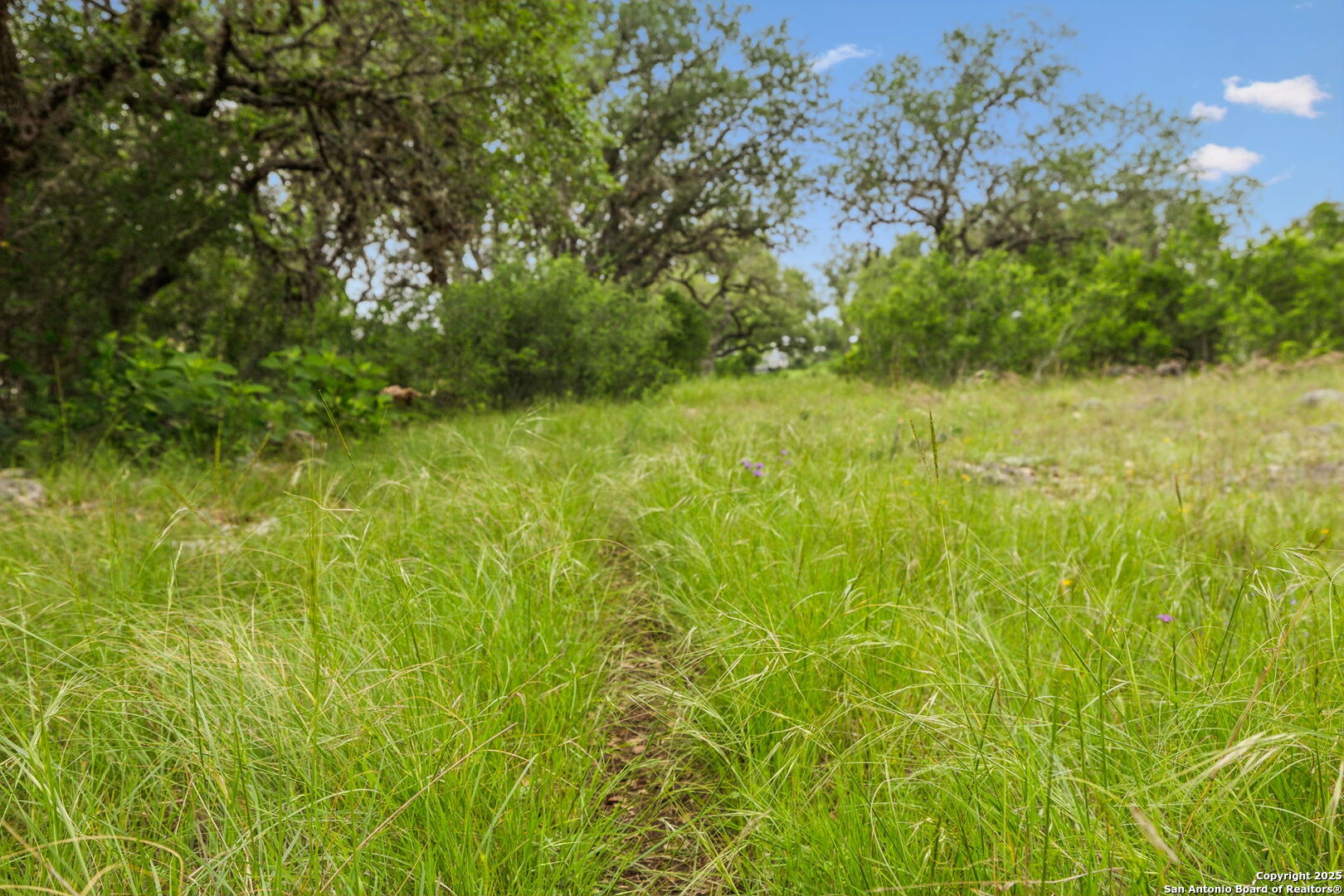 257 Augusta Boerne TX 78006
