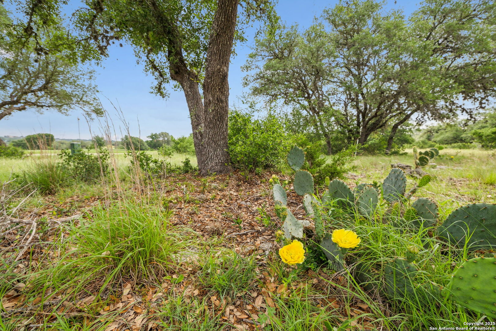 257 Augusta Boerne TX 78006
