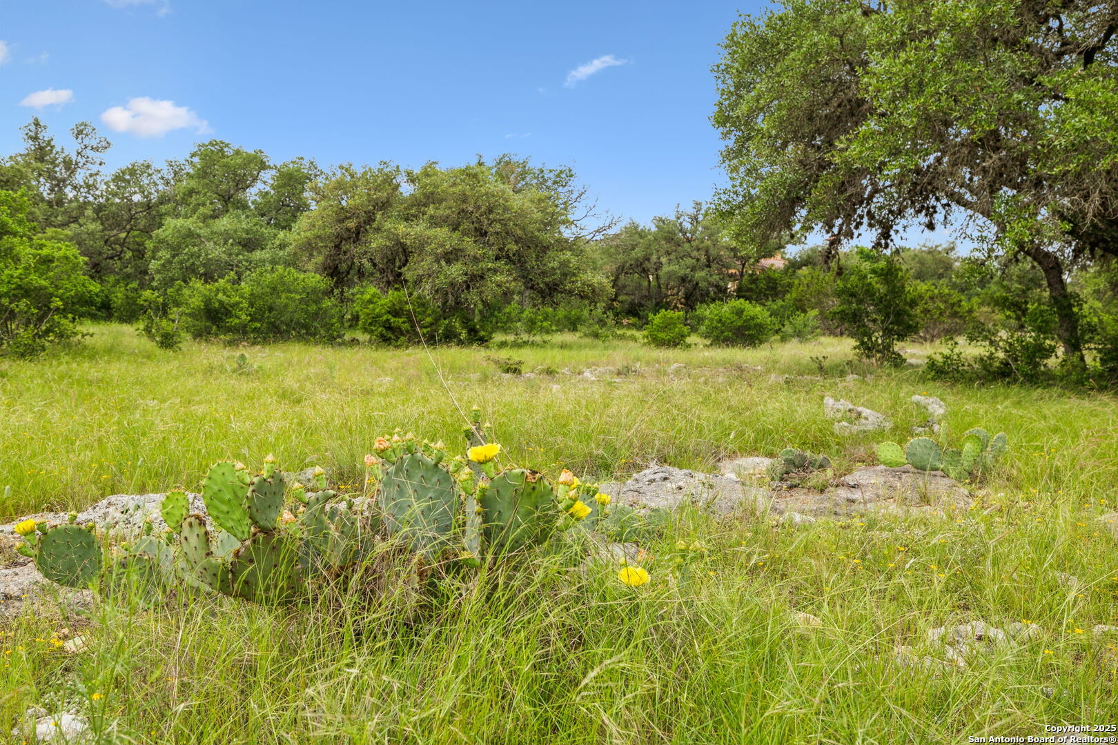 257 Augusta Boerne TX 78006