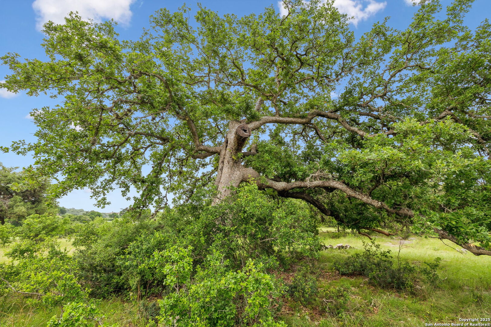 257 Augusta Boerne TX 78006