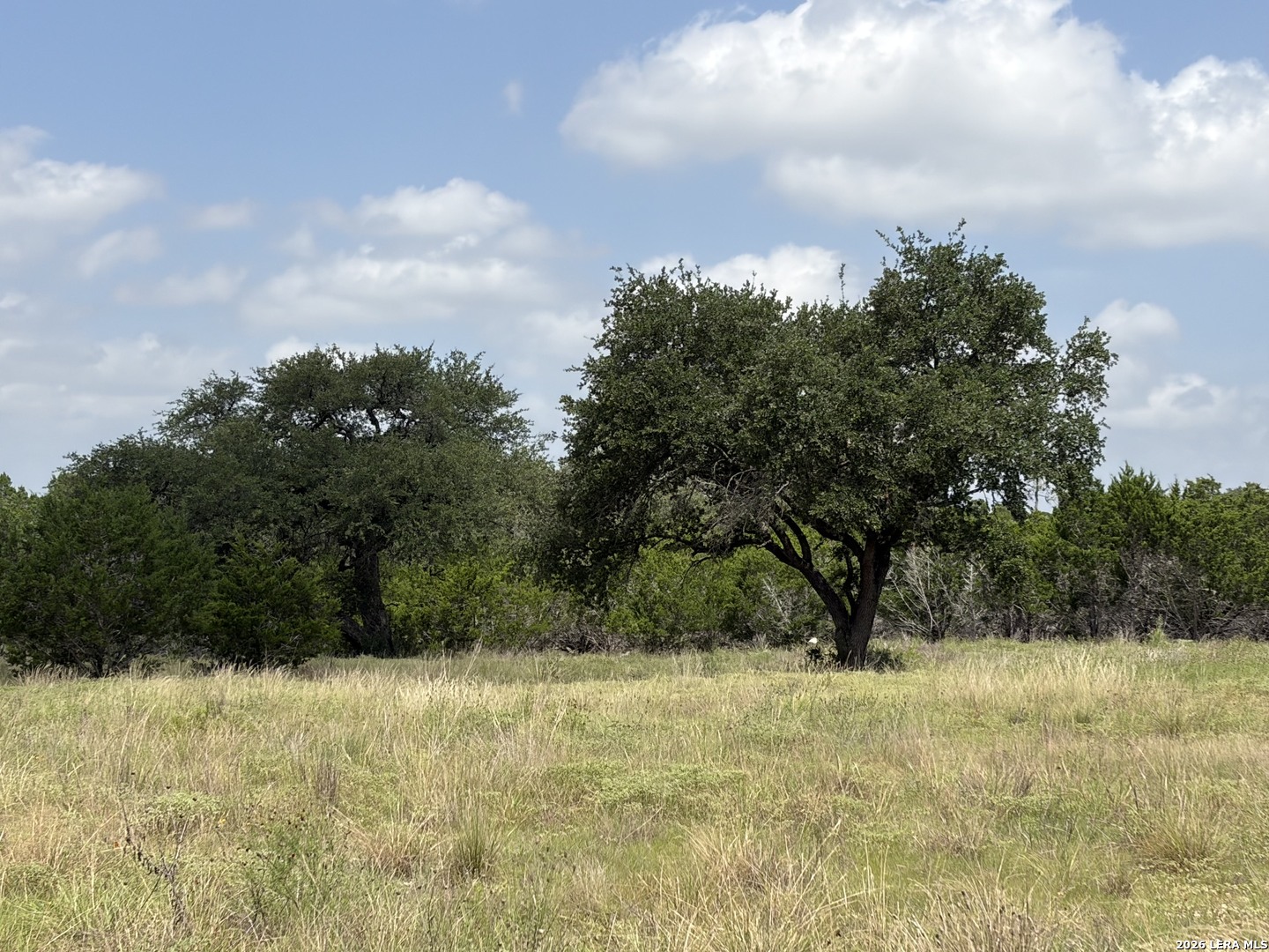 Lot 4 Rio Lantana Pipe Creek TX 78063