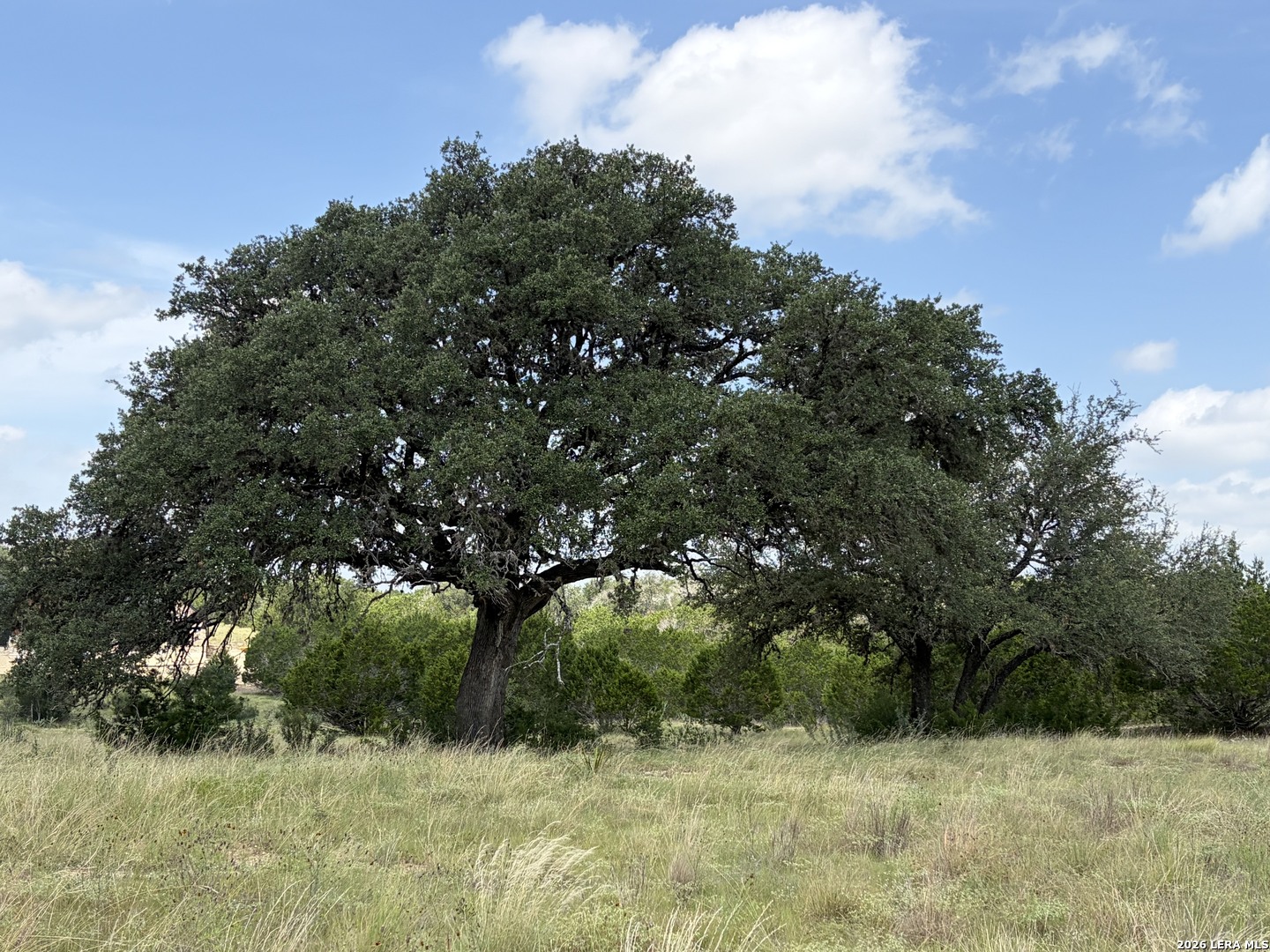 Lot 4 Rio Lantana Pipe Creek TX 78063