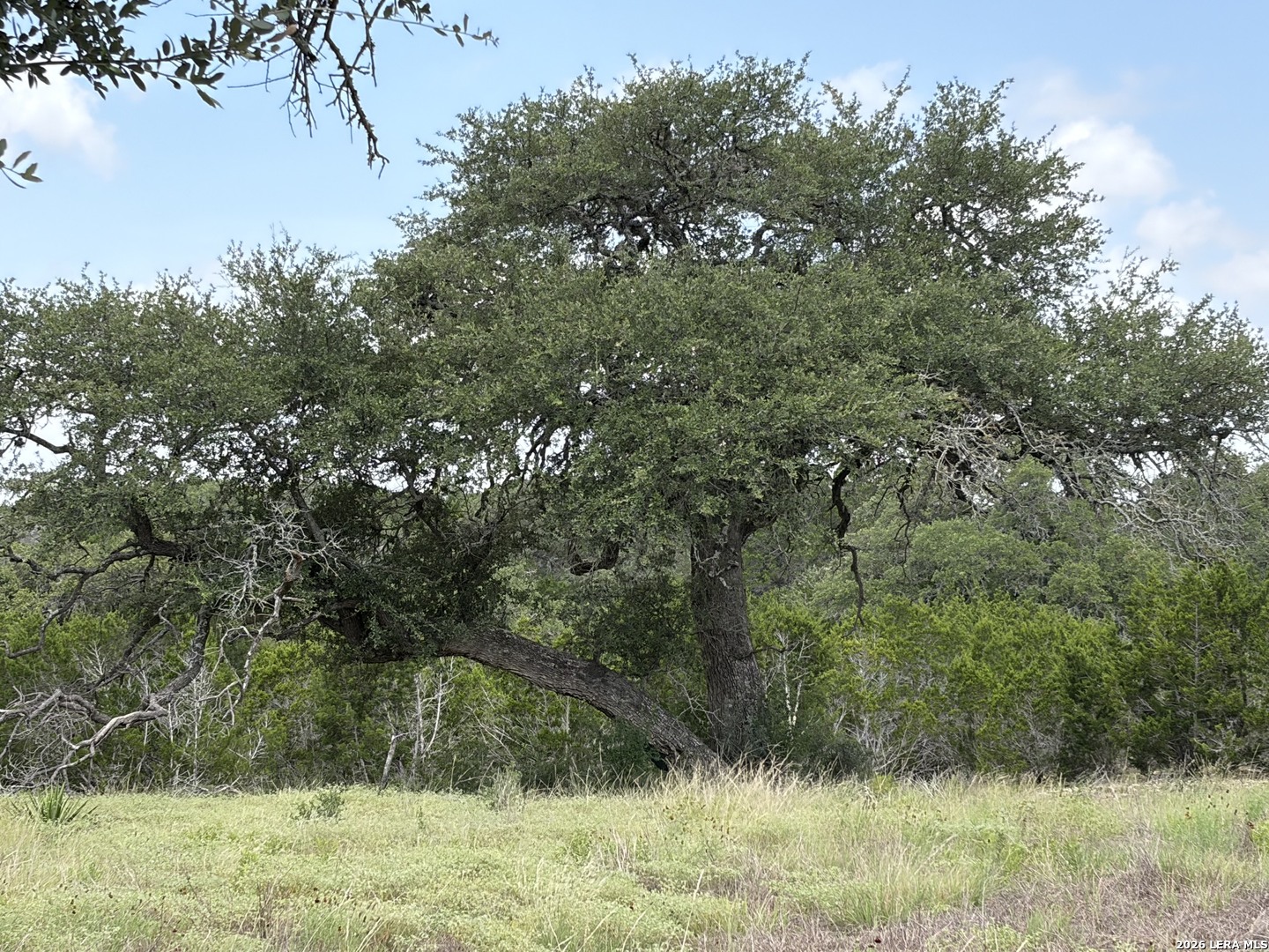Lot 4 Rio Lantana Pipe Creek TX 78063