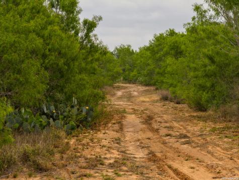 6 Fm 1581 Pearsall TX 78061