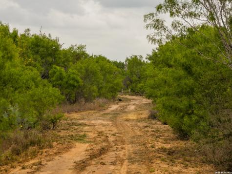 6 Fm 1581 Pearsall TX 78061