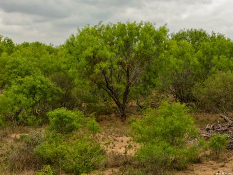 6 Fm 1581 Pearsall TX 78061