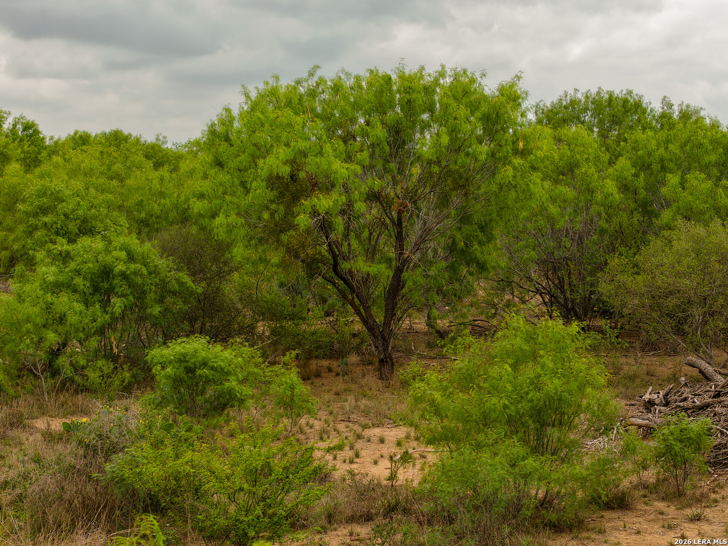6 Fm 1581 Pearsall TX 78061