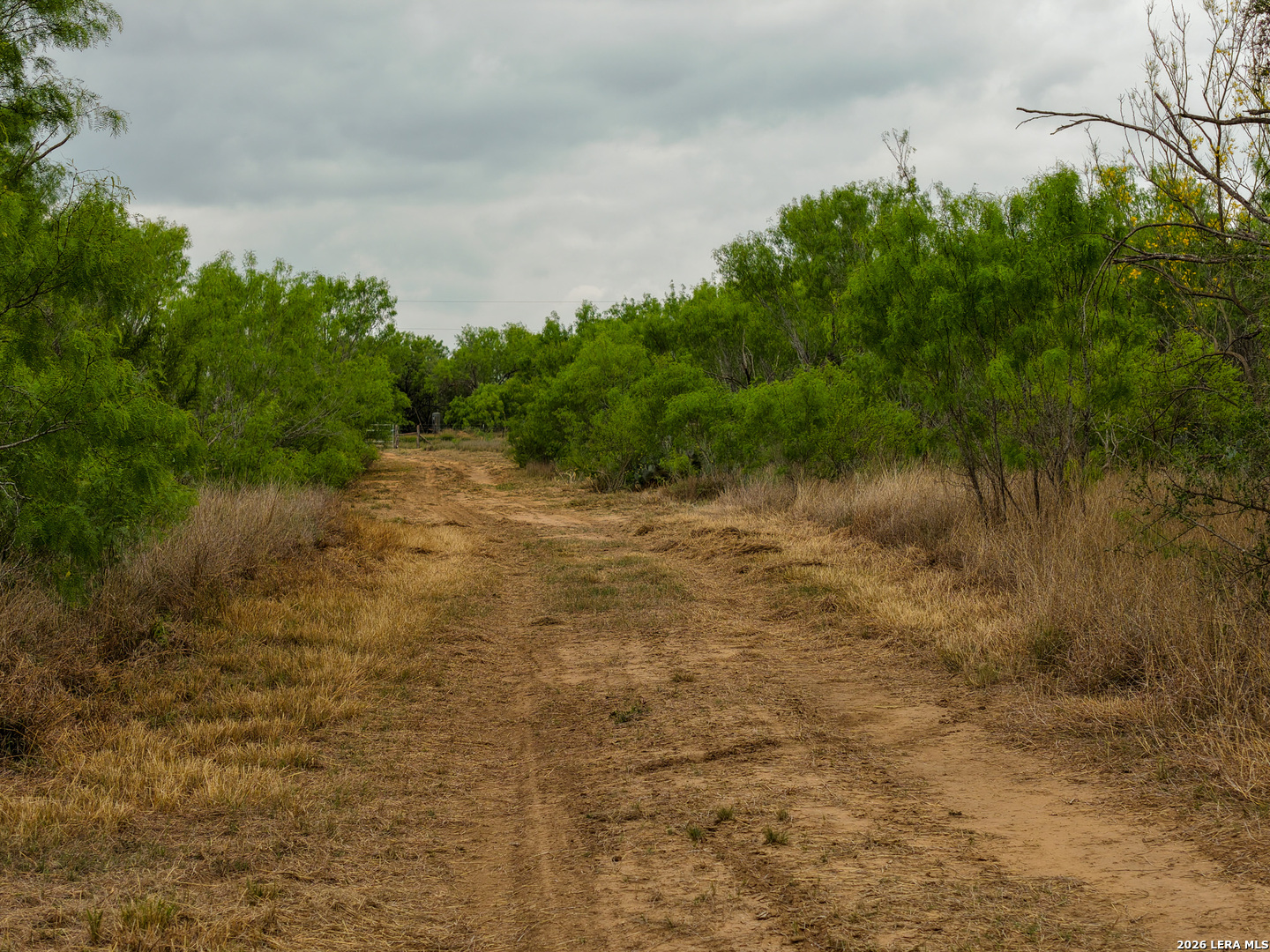 6 Fm 1581 Pearsall TX 78061