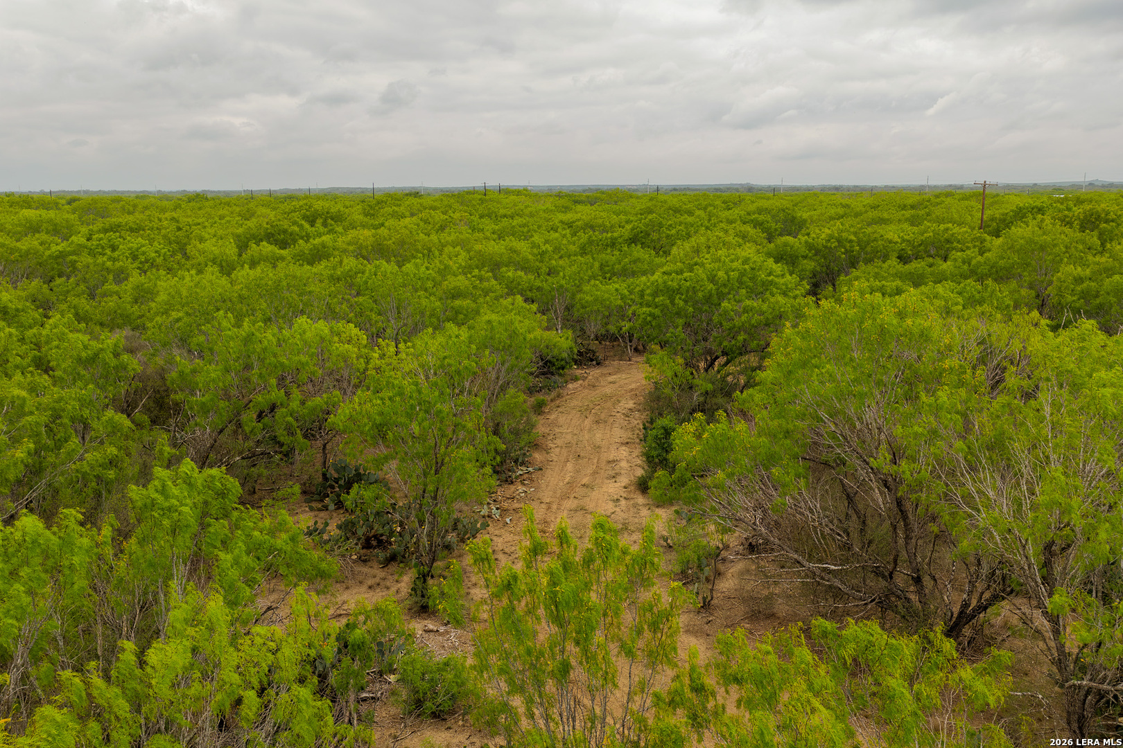 6 Fm 1581 Pearsall TX 78061