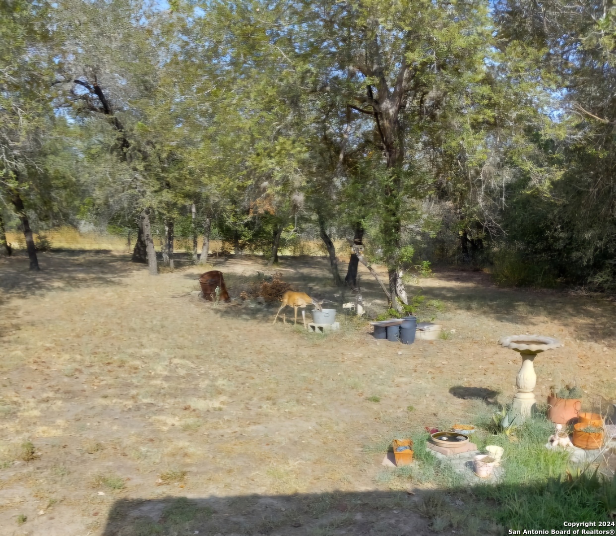 895 Gayle Lane Poteet TX 78065