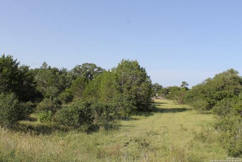 117 Heron Pass Spring Branch TX 78070