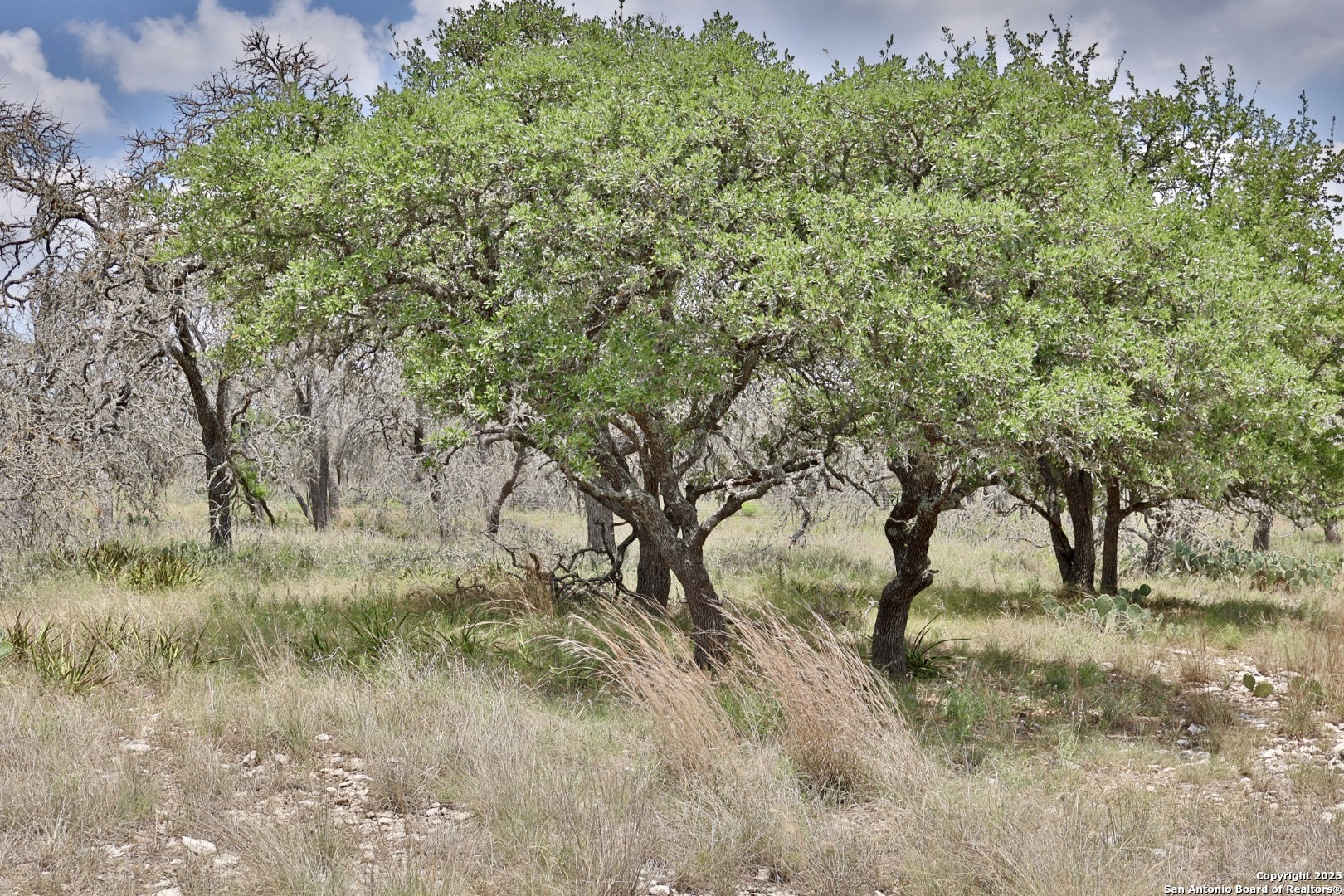 25 Dallas Josie Road Harper TX 78631