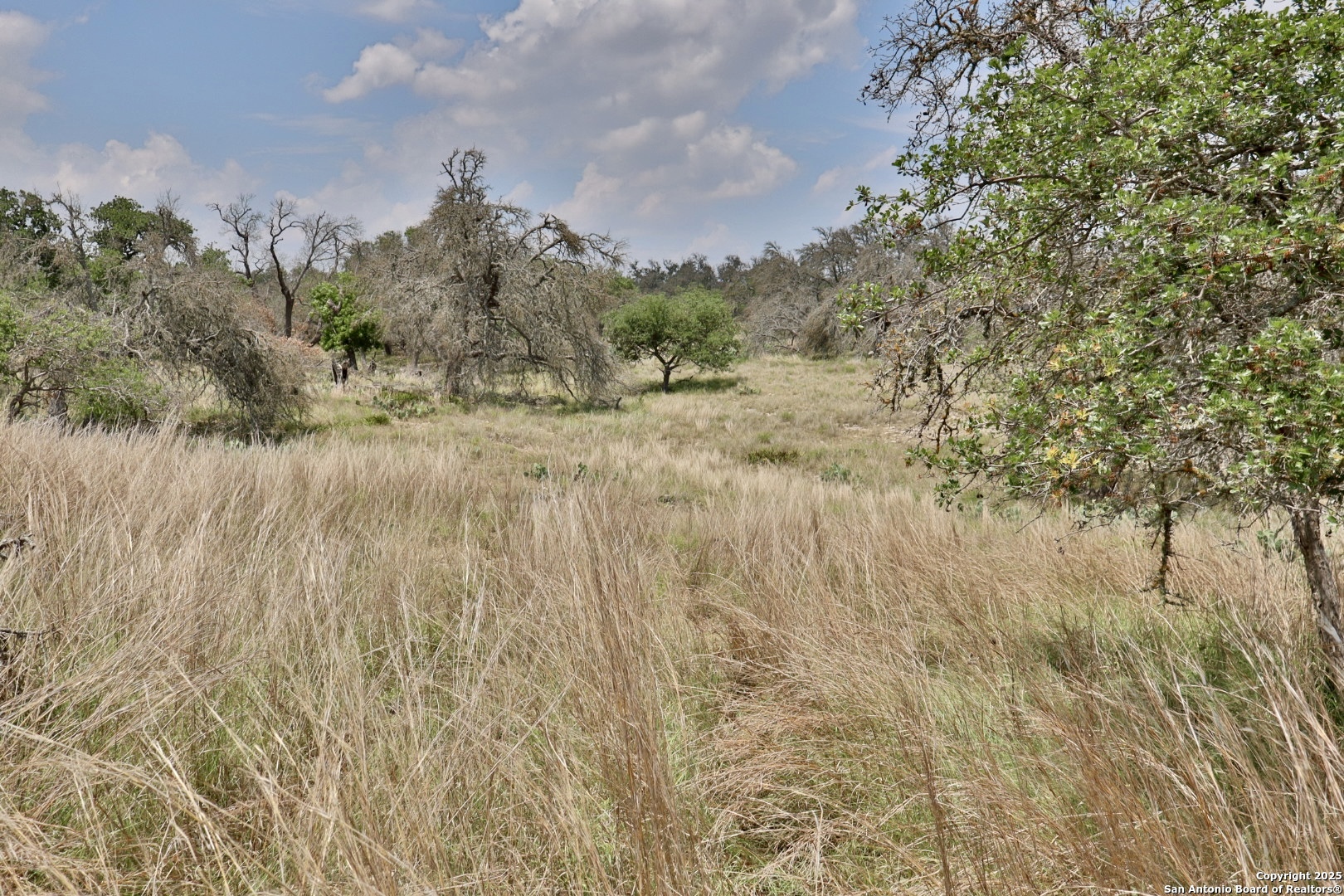 25 Dallas Josie Road Harper TX 78631