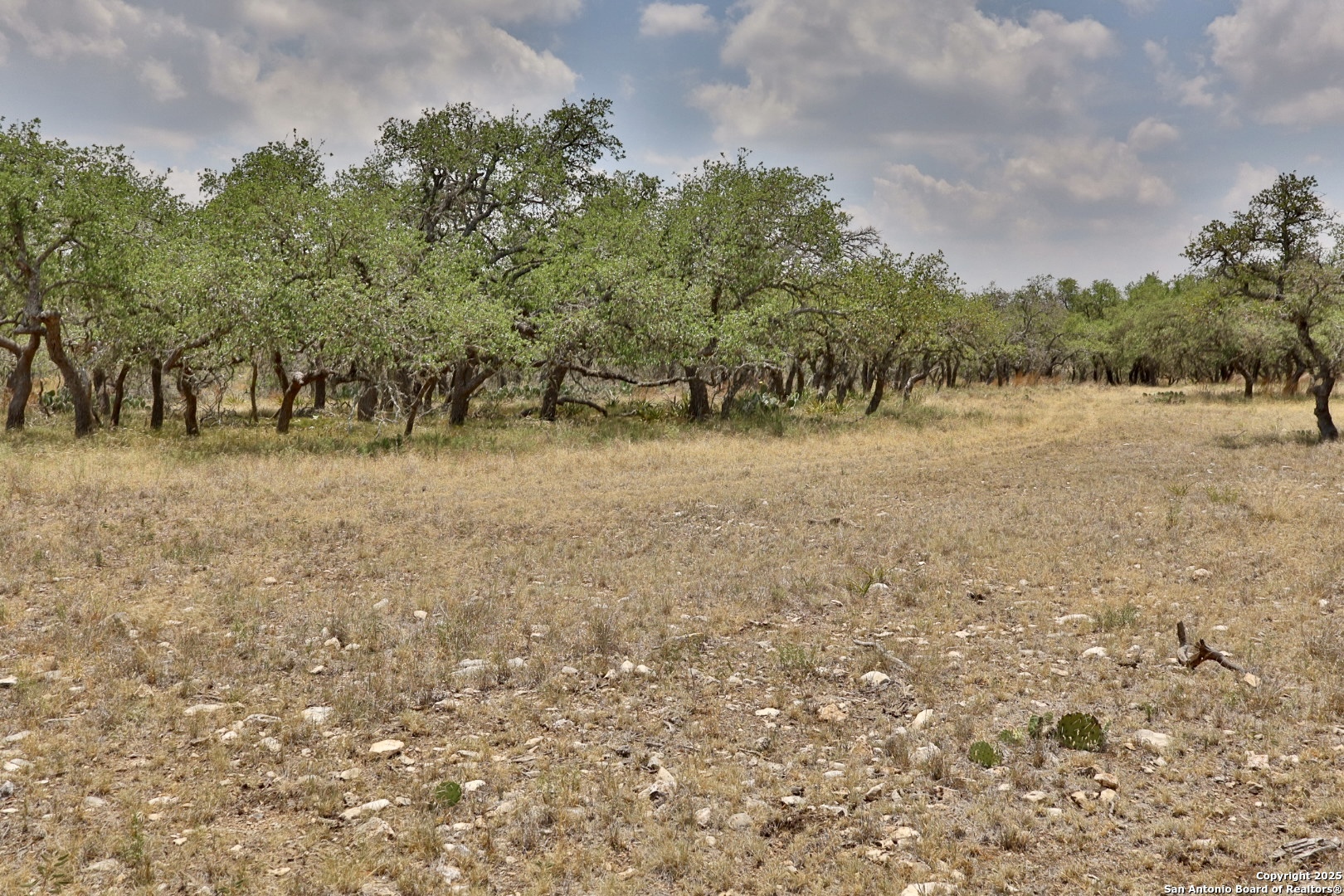25 Dallas Josie Road Harper TX 78631