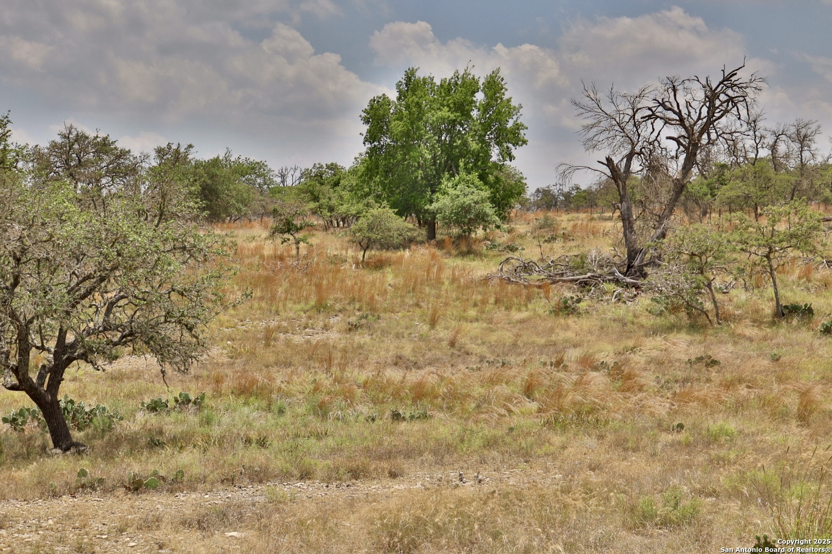 25 Dallas Josie Road Harper TX 78631