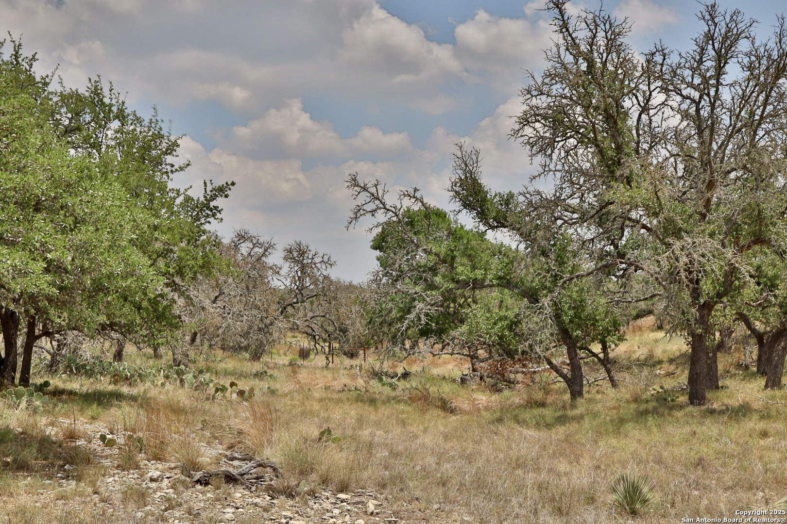 25 Dallas Josie Road Harper TX 78631