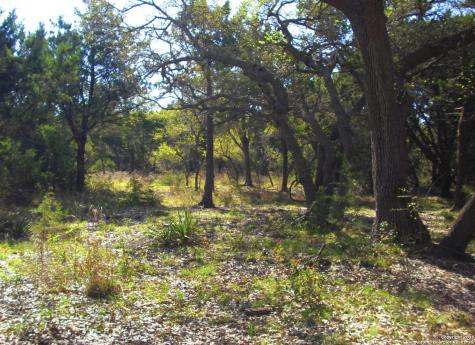 2024 Fm 3424 Canyon Lake TX 78133