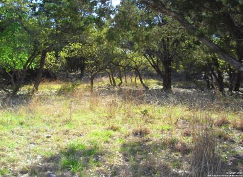 2024 Fm 3424 Canyon Lake TX 78133