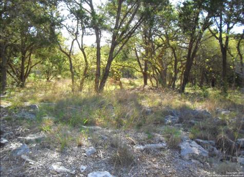 2024 Fm 3424 Canyon Lake TX 78133