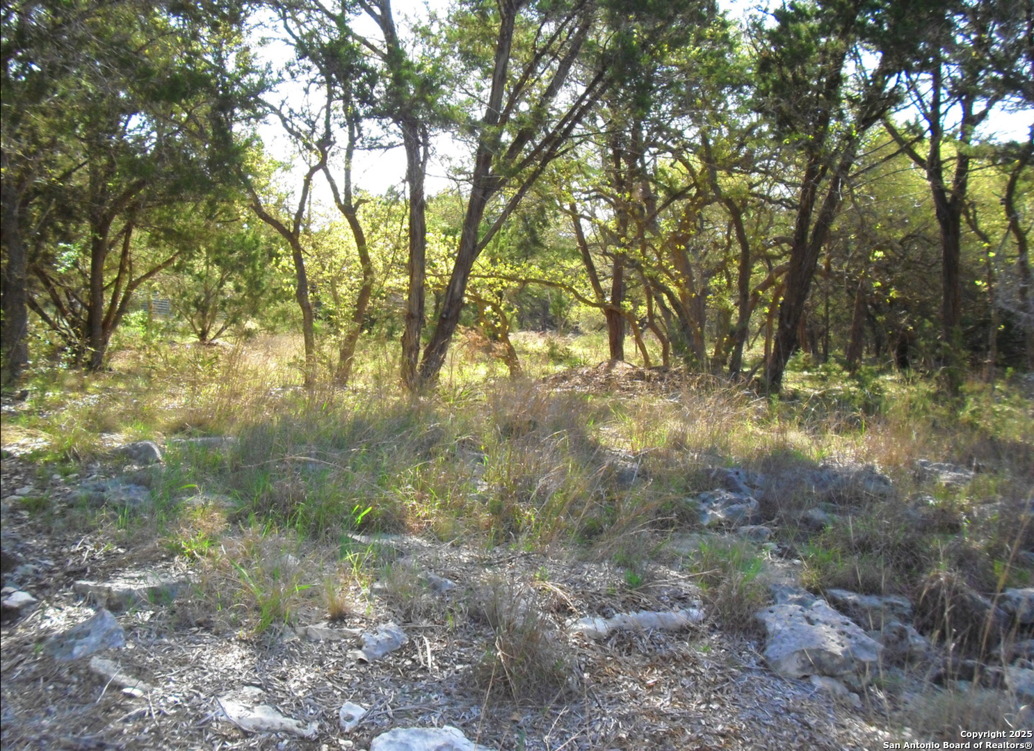 2024 Fm 3424 Canyon Lake TX 78133