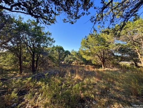 2024 Fm 3424 Canyon Lake TX 78133
