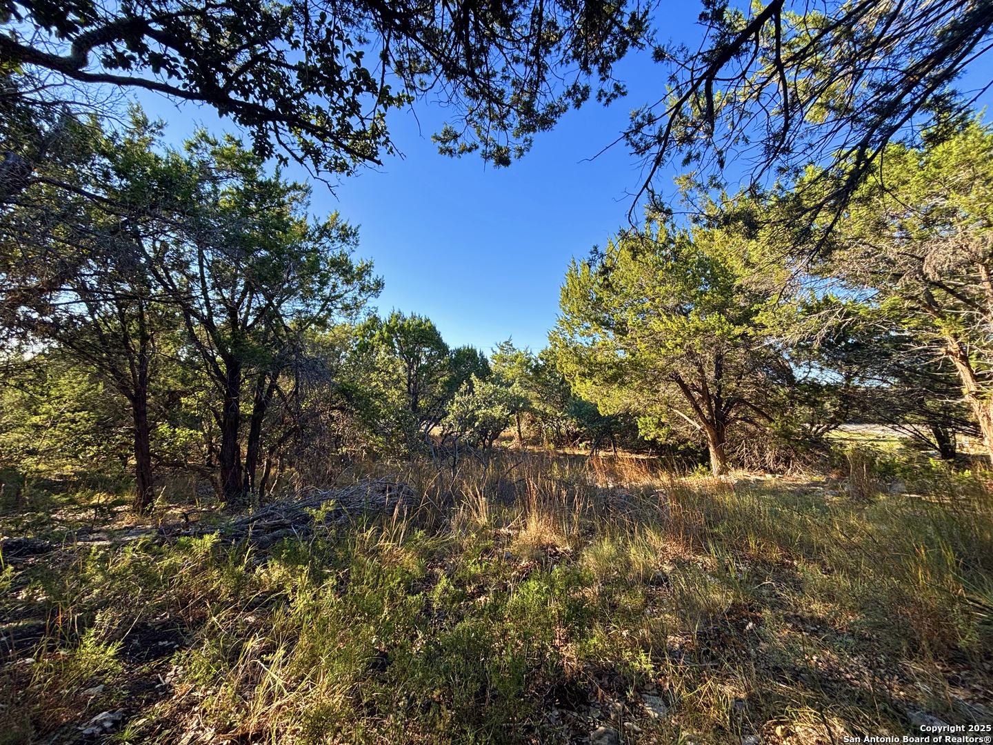 2024 Fm 3424 Canyon Lake TX 78133