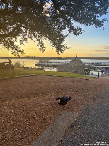 2024 Fm 3424 Canyon Lake TX 78133