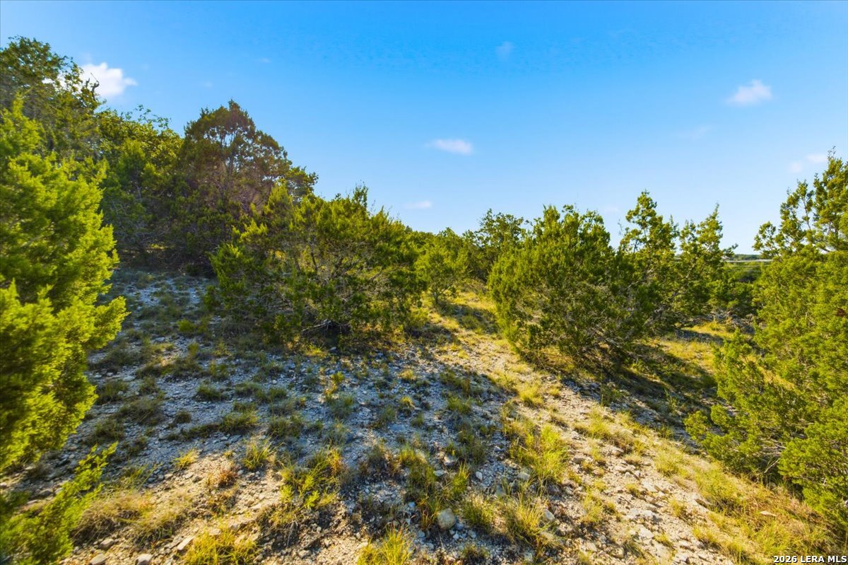 514 Canyon Rock Drive Spring Branch TX 78070