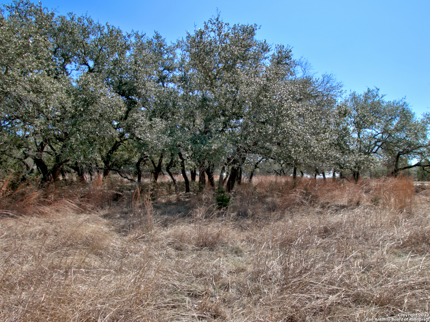 823 Mystic Parkway Spring Branch TX 78070