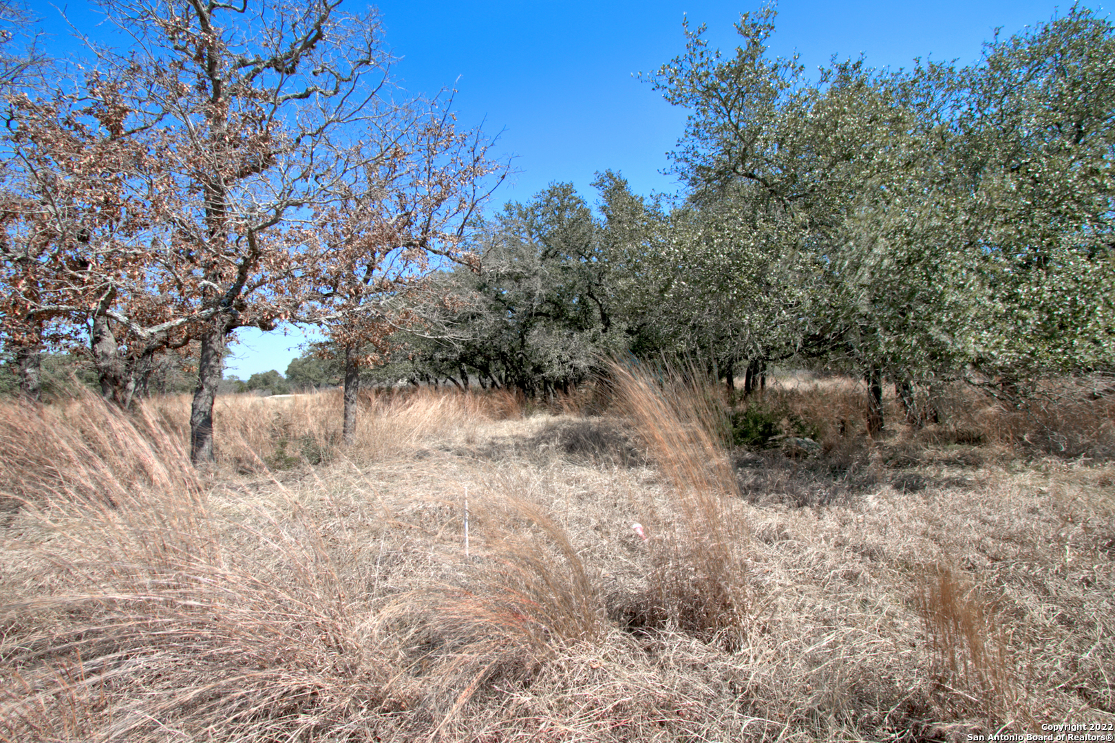 823 Mystic Parkway Spring Branch TX 78070